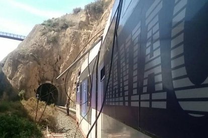 Tren parado por la caída de cable de la catenaria.