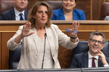 La vicepresidenta tercera y ministra para la Transición Ecológica, Teresa Ribera, CGPJ, que tuvo lugar ayer en Bruselas