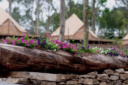 Alquila tu cabaña en el primer camping autosostenibe del 