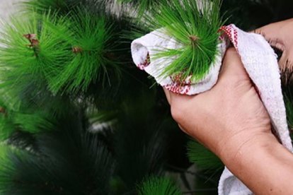 Los expertos avisan que el polvo acumulado en los árboles de Navidad pueden generar problemas en los alérgicos.