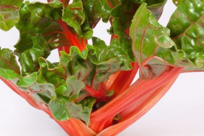 Acelga roja: el vegetal que te enamorará por sus propiedades