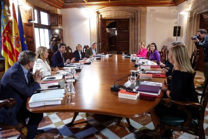 Carlos Mazón durante un pleno del Consell.