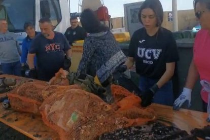 Ruedas, plástico y cristal, los pescadores de Calpe sacan la basura del mar