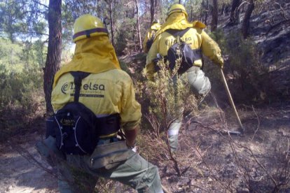 Las brigadas forestales de la Diputació actúan en 135 emergencias este verano