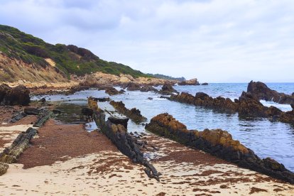 Las piscinas naturales de Bolonia sin arena y con algas (Tarifa, Cádiz).