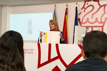 La vicepresidenta Susana Camarero en la rueda de prensa previa a la Conferencia Sectorial de Infancia