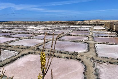 Salinas de Tenefé