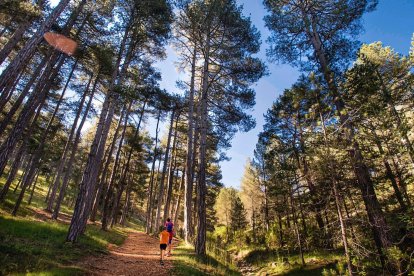 Sendero de la provincia de Castellón