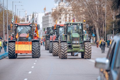 Varios tractores durante una nueva jornada de protestas de agricultores y ganaderos, a 17 de marzo de 2024, en Madrid (España). Unión de Uniones ha convocado una tractorada de agricultores y ganaderos para pedir mejoras en el sector, entre ellas exigir ayudas para afrontar las sequías que sufre el campo, además de protestar contra las políticas europeas y su falta de rentabilidad. Durante la manifestación, que ha tenido lugar desde el Ministerio de Transición Ecológica hasta el de Agricultura, se ha hecho entrega de una donación de aceite de oliva a Mensajeros de la Paz. Han convocado para participar en la marcha a más de 1.500 tractores y 10.000 trabajadores.
17 MARZO 2024;PROTESTA;AGRICULTORES;GANADEROS;TRACTORADA;MARCHA;SEQUÍAS
Gabriel Luengas / Europa Press
(Foto de ARCHIVO)
17/3/2024