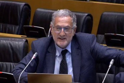 El diputado de Vox José Luis Steegmann.