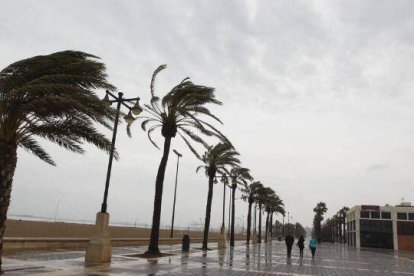 Alerta naranja por fuerte viento en la Comunidad Valenciana.