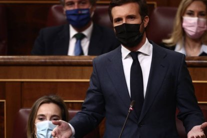 Pablo Casado, líder del PP