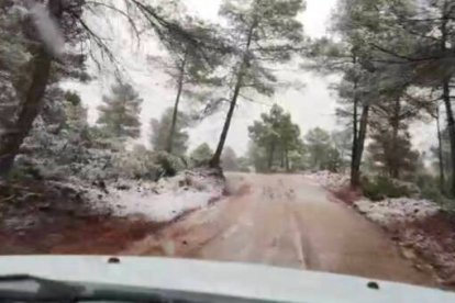 Nieve en la Sierra de Enguera (Albacete)