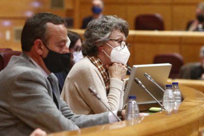 Rosa María Mateo este viernes en el Senado.