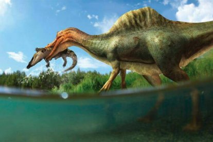 Dinosaurio 'Vallibonavenatrix' hallado en Castellón