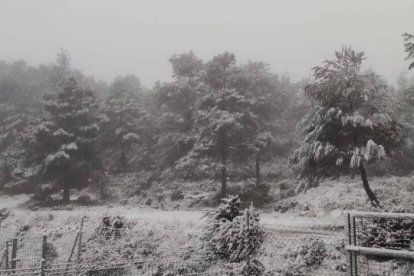 Imagen de la nieve en la Sierra de Enguera.