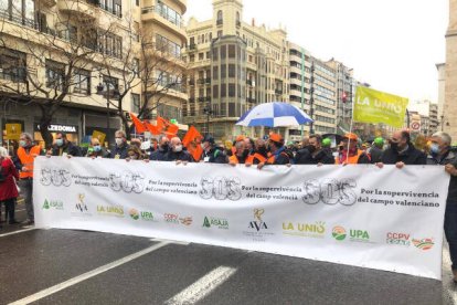 Imagen del transcurso de la manifestación.