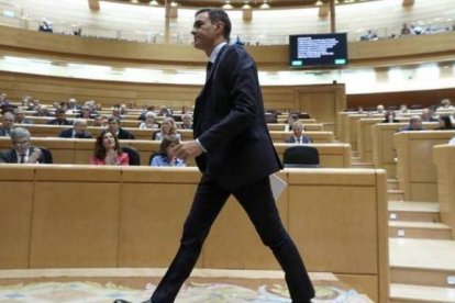 Pedro Sánchez, en el Senado.