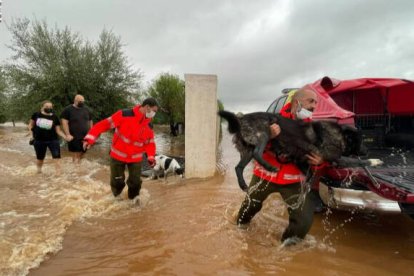 Rescate de los bomberos en Vinaròs