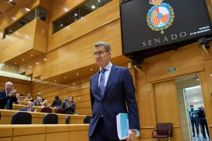 El líder del Partido Popular, Alberto Núñez Feijóo, a su llegada a una sesión en el Senado.