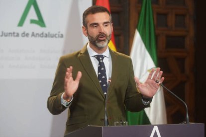 El consejero de Sostenibilidad de la Junta de Andalucía y portavoz del Gobierno, Ramón Fernández-Pacheco.