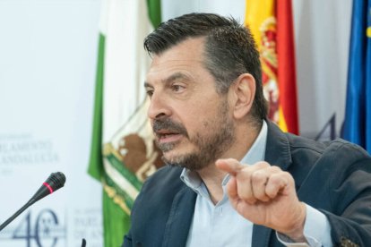 El portavoz del grupo parlamentario del PP-A, Toni Martín.