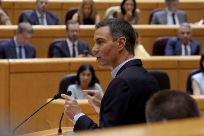 Pedro Sánchez en el Senado ante Feijóo