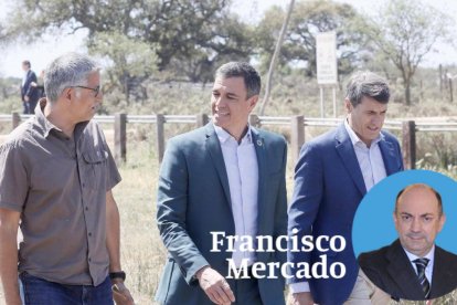 Sánchez, en su reciente visita a Doñana.