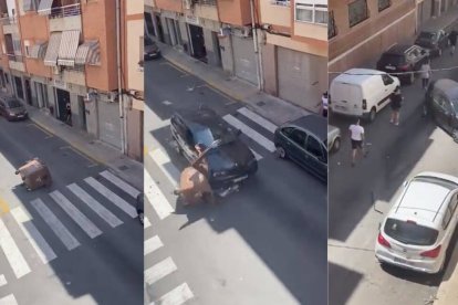 Un coche fuera de control siembra el caos en Petrer.