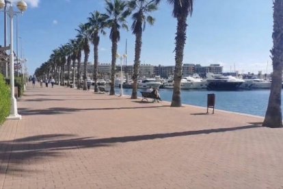 Paseo Mártires de la Libertad de Alicante