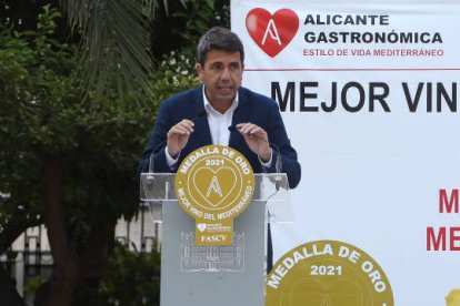 Carlos Mazón, presidente de la Diputación de Alicante