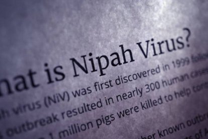 Virus Nipah