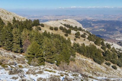 Ascenso al Pico Tejeda o La Maroma, en Málaga. (Foto wikilock)