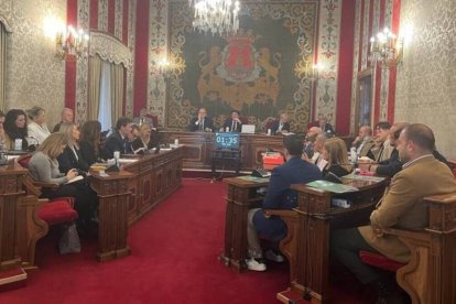 Pleno del Ayuntamiento de Alicante