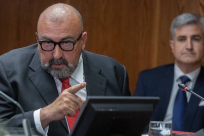 Koldo García en el Senado