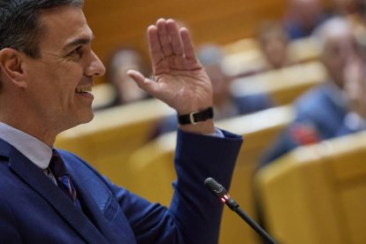 Pedro Sánchez en el Senado