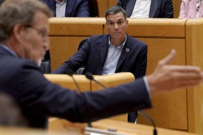 Pedro Sánchez observa a Feijóo en un debate del Senado