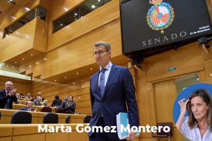 Feijóo, este miércoles llegando al Senado.