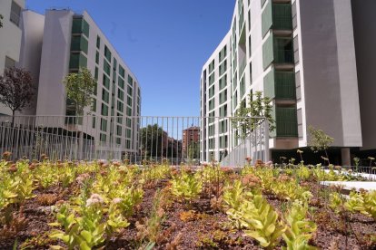 Viviendas asequibles en Puente de Vallecas
AYUNTAMIENTO DE MADRID
22/7/2024