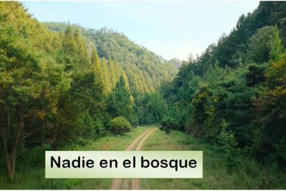 'Nadie en el bosque' en Netflix