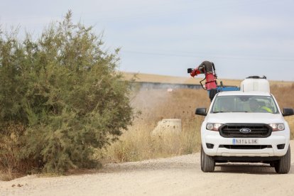 Tratamiento contra los mosquitos que propagan el Virus del Nilo Occidental (VNO) en Coria del Río, Sevilla.