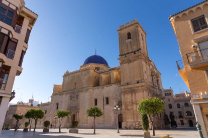 Elche. Imagen de archivo