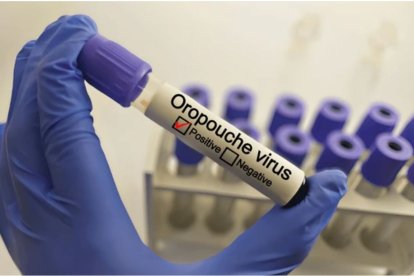 Virus Oropouche