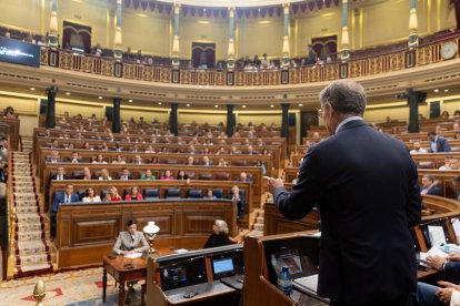 El presidente del PP, Alberto Núñez Feijóo, interviene durante una sesión en el Congreso.