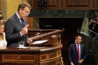 El líder del PP, Alberto Núñez Feijóo, interviene mientras Pedro Sánchez acude a su sitio en el Congreso.