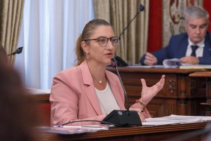 Mari Carmen de España, responsable de la Agencia Local de Desarrollo