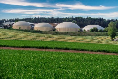 (Foto de ARCHIVO)
Plantas de biometano para usar residuos agrícolas y ganaderos para generar energía renovable y dar un paso más en la economía circular.

BIOMARGAS
12/8/2024