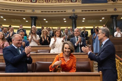 La bancada del PP aplaude a Alberto Núñez Feijóo tras una de sus intervenciones en el Congreso.