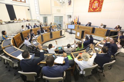 Pleno de la Diputación de Alicante