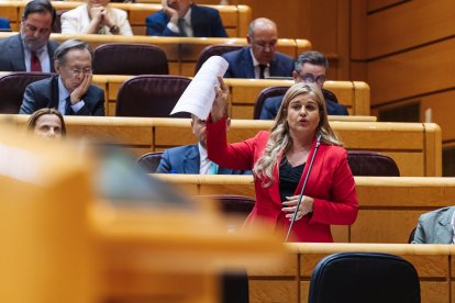 La vicepresidenta tercera de la Mesa del Senado, Eva Ortiz.